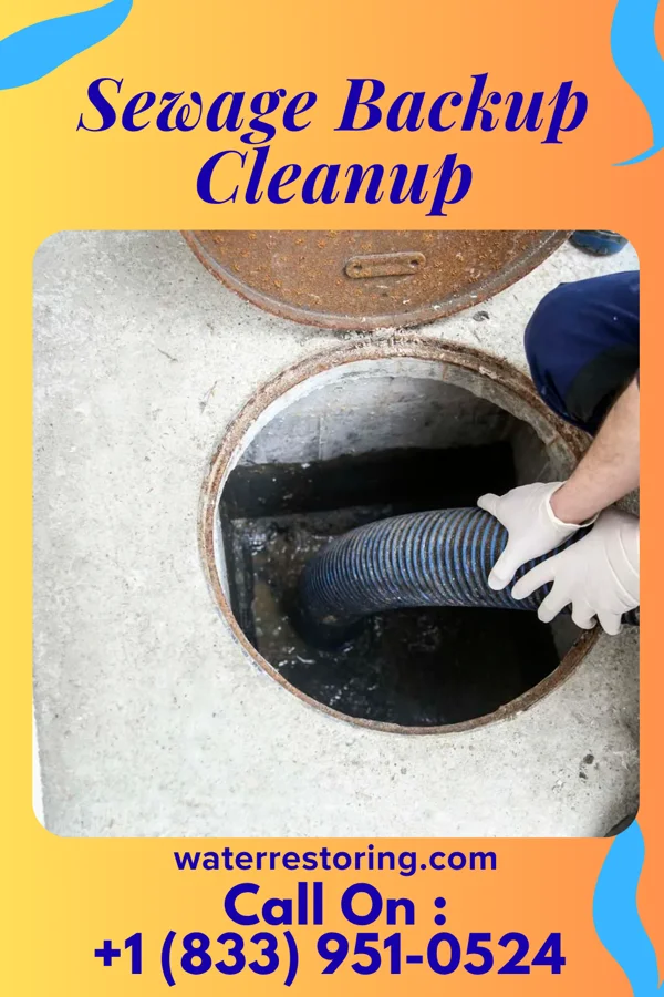 Sewage Backup Cleanup in Meadows Place, TX
